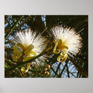 Shaving Brush Träd Poster