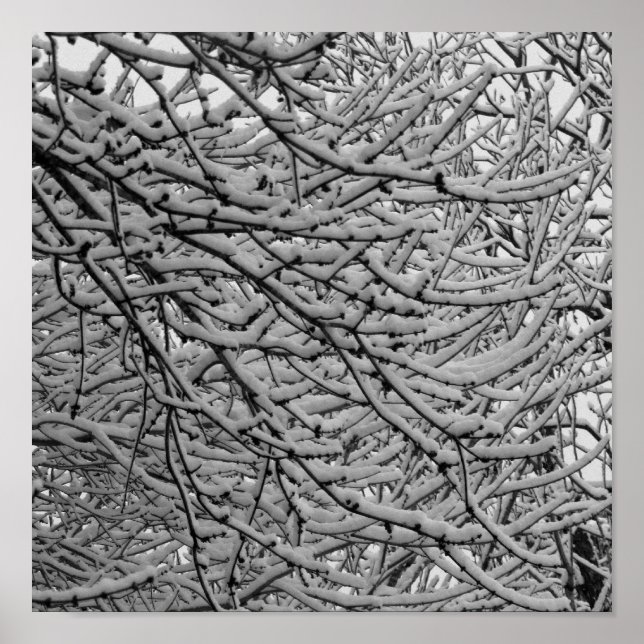 Shavslöjport Snowfall Poster (Framsidan)