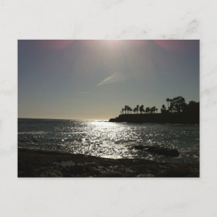 Shaw's Cove Postcard Vykort