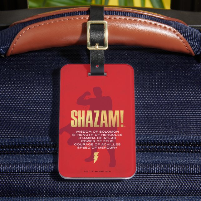 SHAZAM! Fury of the Gods | Flexing Silhouette Bagagebricka (Framsida Insitu 2)