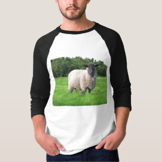 Sheal grundläggande 3/4 sleeveRaglan Tee Shirt