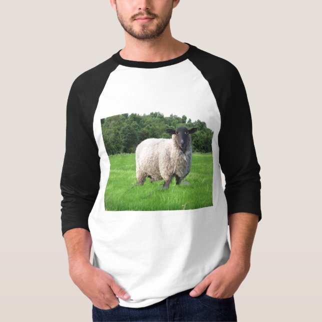 Sheal grundläggande 3/4 sleeveRaglan Tröja (Framsida)