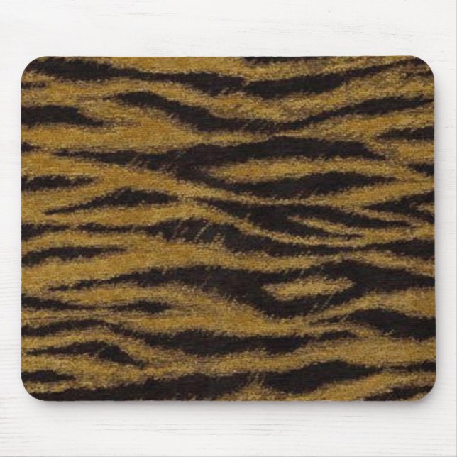 Shebas Rand Musmatta (Framsidan)