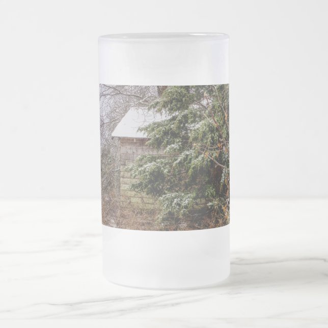 Shed Abandoned Frosted Glass Beer Mugg (Center)