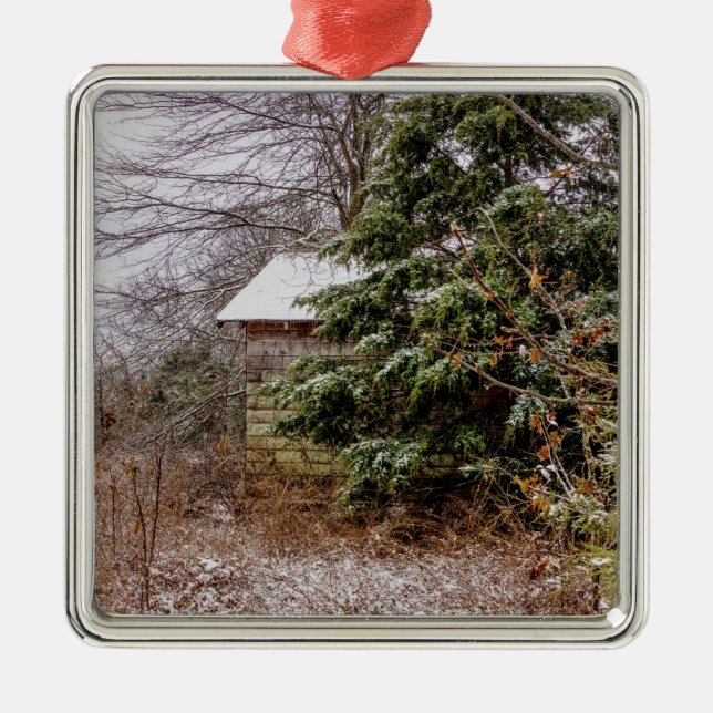 Shed Abandoned Julgransprydnad Metall (Framsidan)