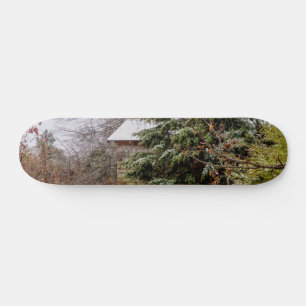 Shed Abandoned Mini Skateboard Bräda 18,5 Cm