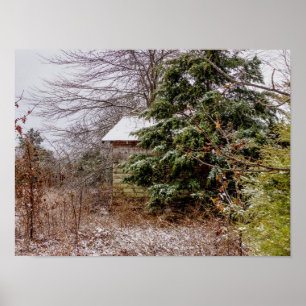 Shed Abandoned Poster
