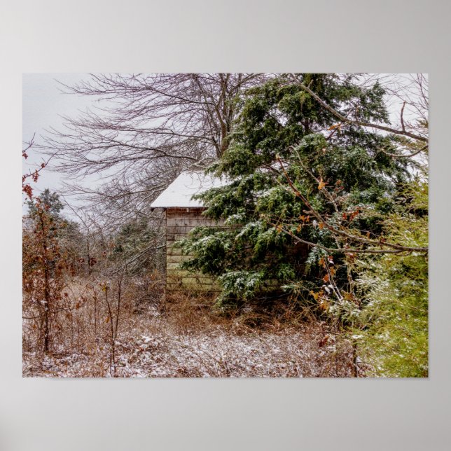 Shed Abandoned Poster (Framsidan)