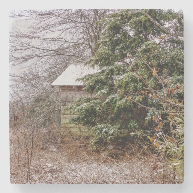Shed Abandoned Stenunderlägg (Framsidan)
