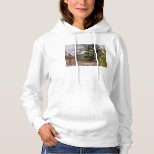 Shed Abandoned T Shirt
