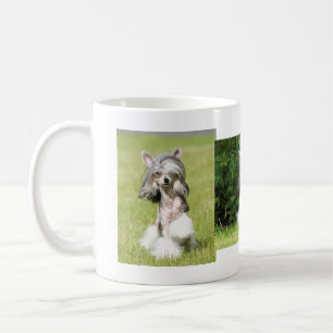 Sheeba peka kaffemugg