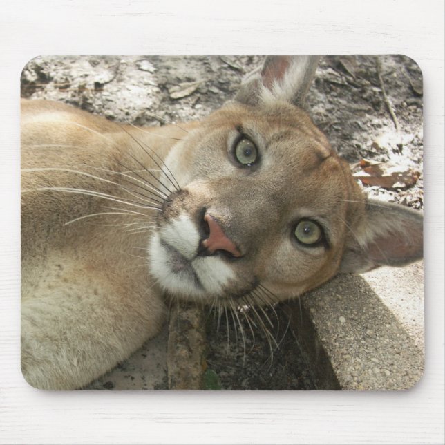 Sheena vanliga Mousepad - Musmatta (Framsidan)