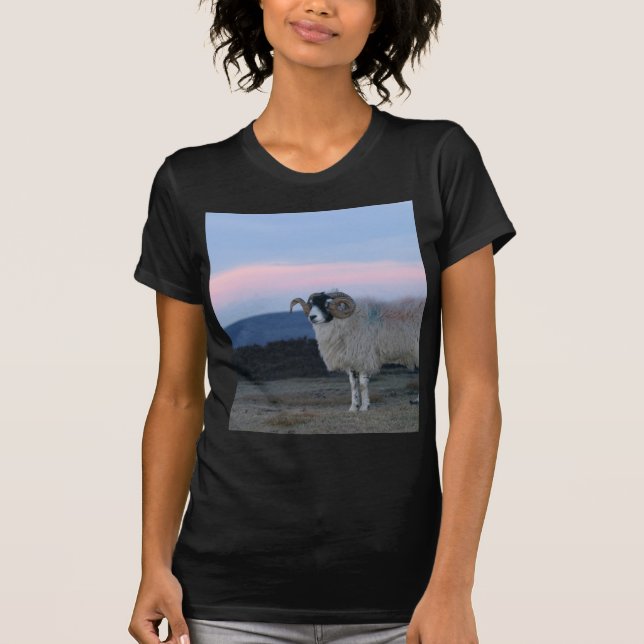 Sheep Black Passande Dam Tee Shirt (Framsida)