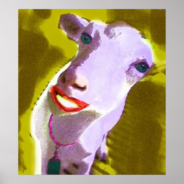 SHEEP DAM POSTER (Framsidan)
