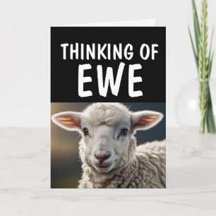 SHEEP LAMB FUNNY PUN HEJ Greeting Cards Kort