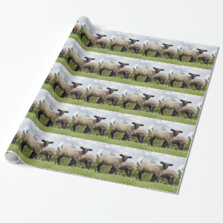 sheep presentpapper