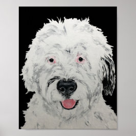 Sheepadoodle Konst Poster