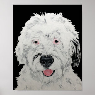 Sheepadoodle Konst Poster