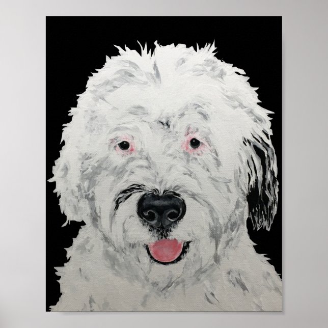 Sheepadoodle Konst Poster (Framsidan)
