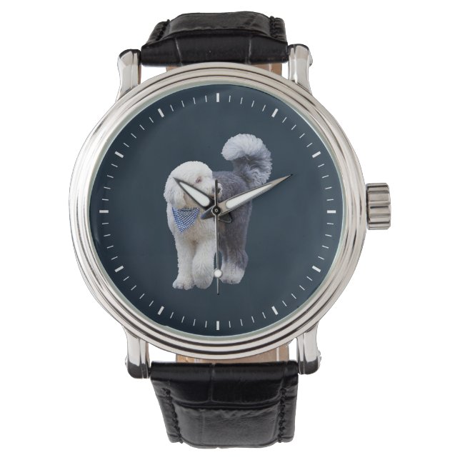 Sheepadoodle med blå rutig halsduk armbandsur (Framsida)