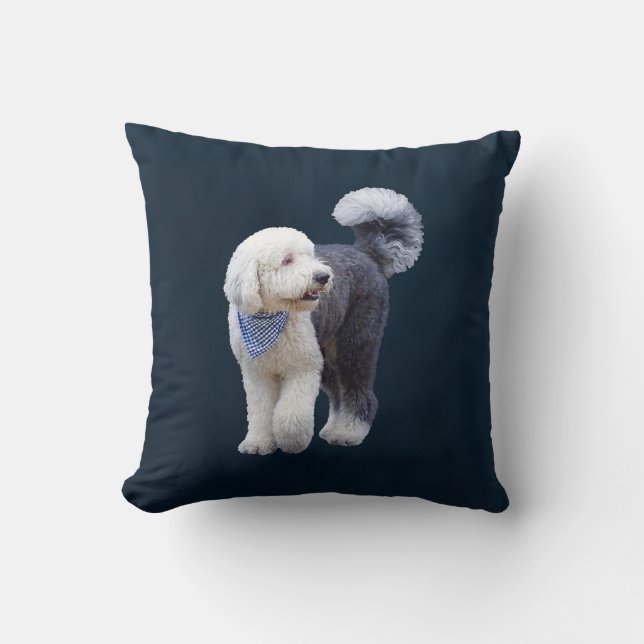 Sheepadoodle med blå rutig halsduk kudde (Framsida)