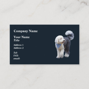 Sheepadoodle med blå rutig halsduk visitkort