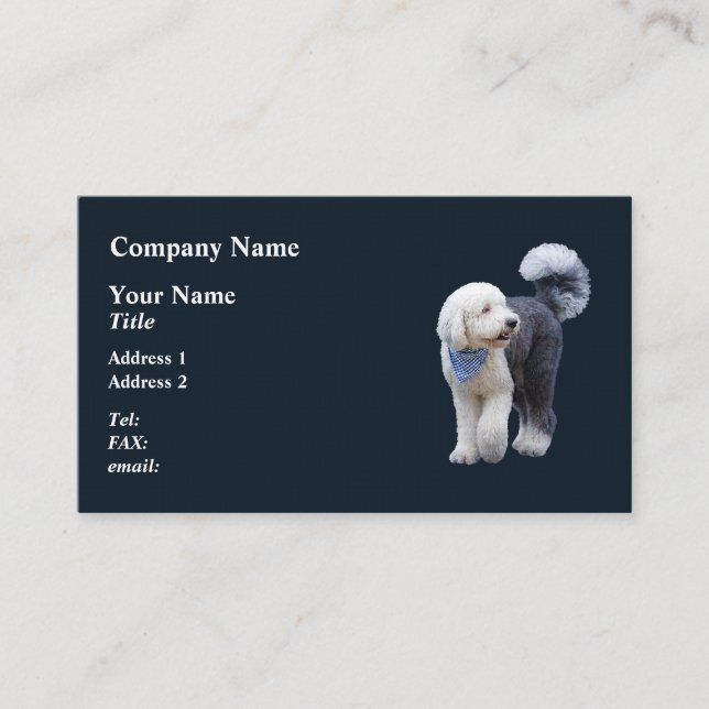 Sheepadoodle med blå rutig halsduk visitkort (Framsida)
