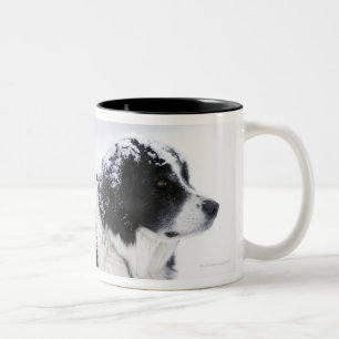 Sheepdog (Akbash/collieblandning) som ljuger ut Två-Tonad Mugg