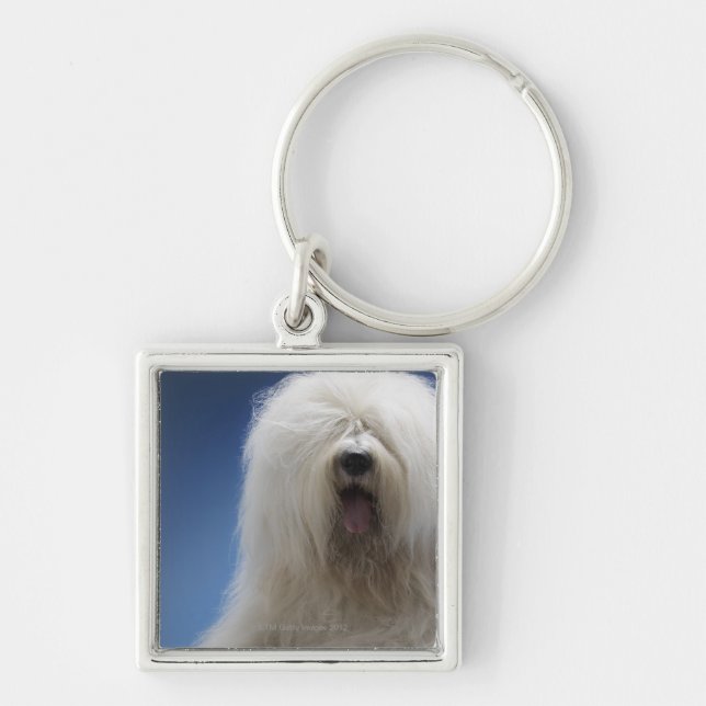 Sheepdog Fyrkantig Silverfärgad Nyckelring (Framsidan)