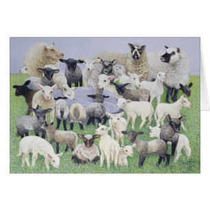 Sheepish känsla hälsningskort