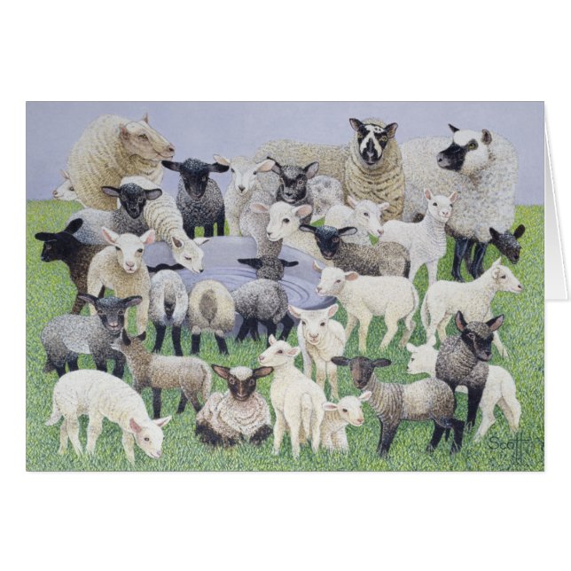 Sheepish känsla hälsningskort (Framsidan Horizontal)