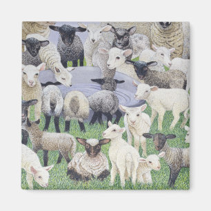 Sheepish känsla magnet