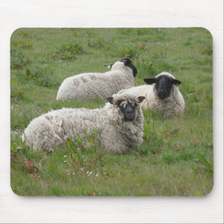 Sheepish känsla musmatta