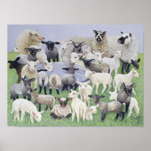 Sheepish känsla poster