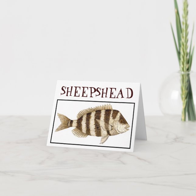 SHEEPSHEAD KORT (Framsida)