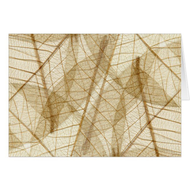 Sheer Cream Beige Snöre Lövs Hälsningskort (Framsidan Horizontal)
