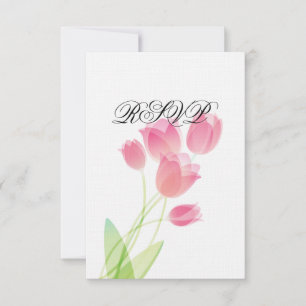 Sheer Rosa Tulips OSA Kort