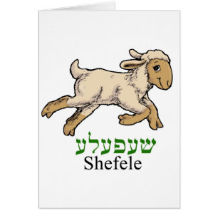 "Shefeleh" - lite lamb Hälsningskort