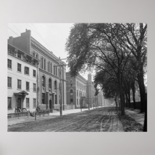 Sheffield Scientific School (Yale Universiteten) Poster