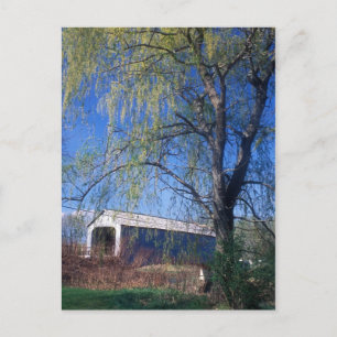 Sheffield Upper Covered Bridge Berkshires MORSA Vykort