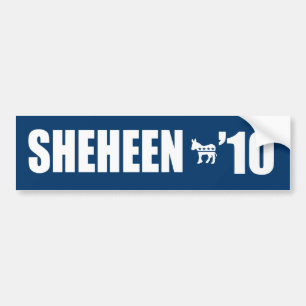 SHEHEEN 2010 BILDEKAL