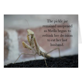 Sheila-et-eater-kortet OBS Kort