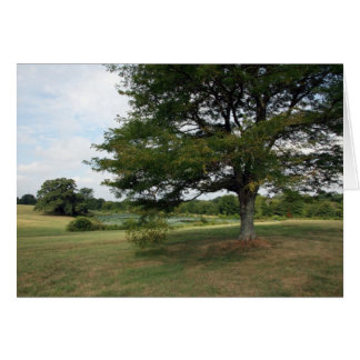 Shelby Farms Hälsningskort