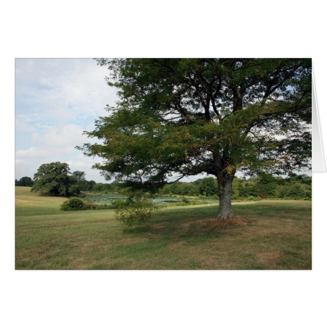 Shelby Farms Hälsningskort (Framsidan Horizontal)