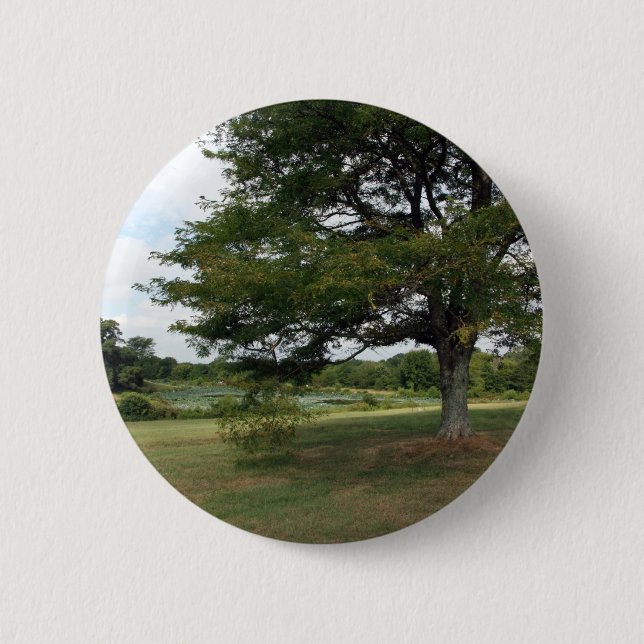 Shelby Farms Knapp (Framsida)