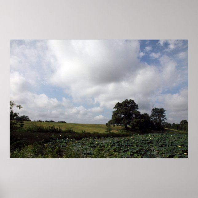 Shelby Farms Poster (Framsidan)