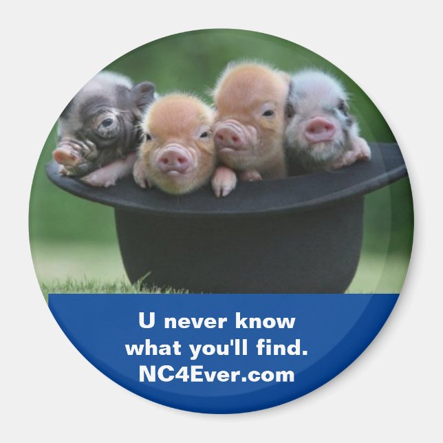 Shelby NC magnet (Framsidan)