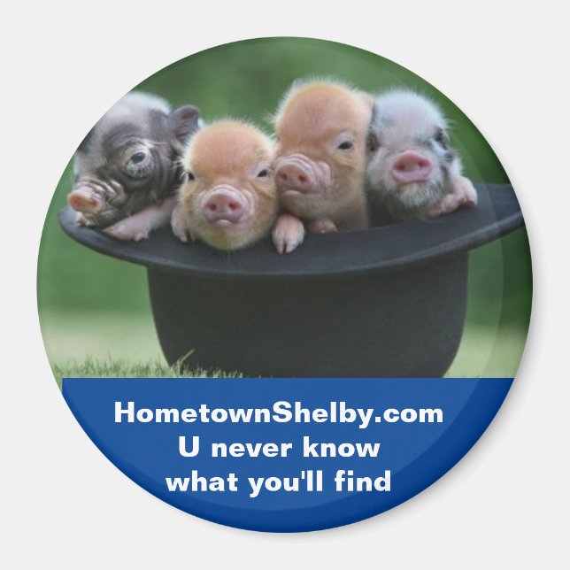 Shelby NC magnet (Framsidan)