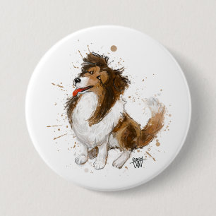 Sheldon the Sheltie Knapp