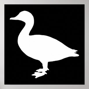 Sheldrake Anka Poster